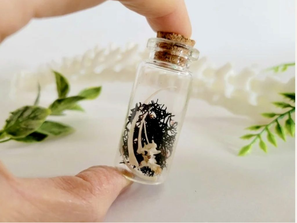 Small jar with cork stopper filled with items